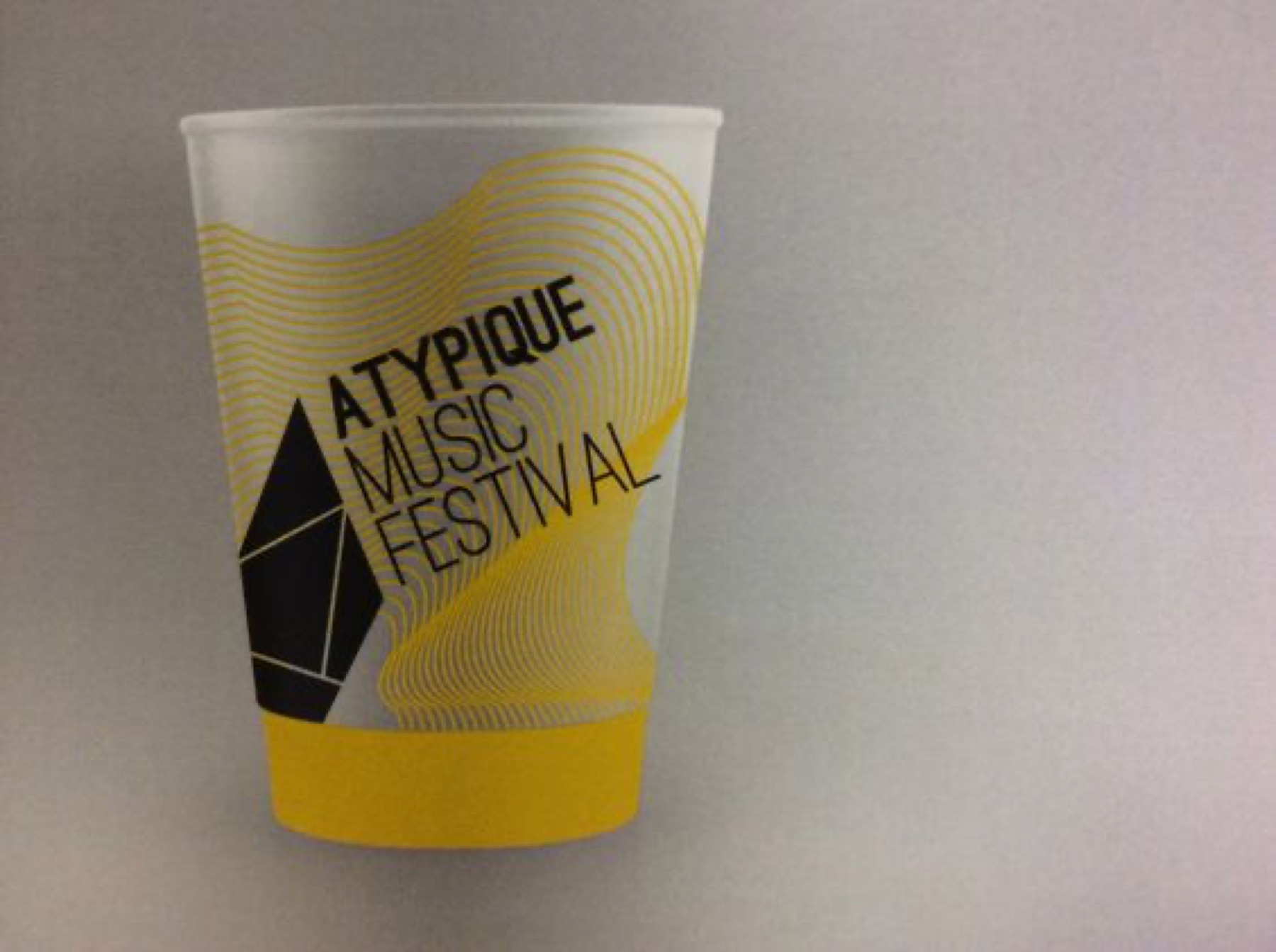 Atypique Music Festival · visuel 5